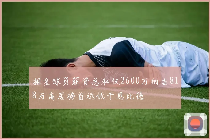 掘金球员薪资总和仅2600万纳吉818万高居榜首远低于恩比德