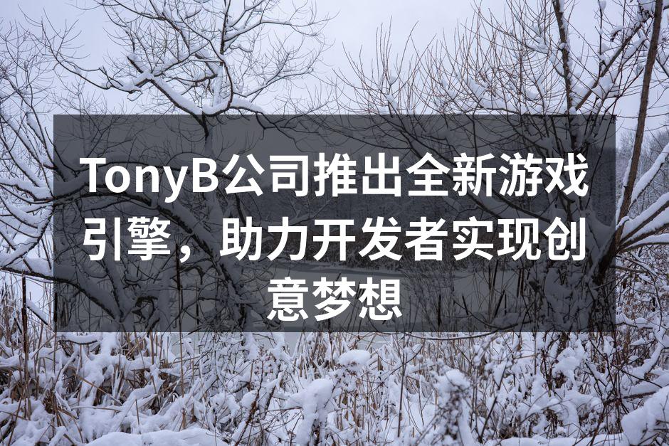 TonyB公司推出全新游戏引擎，助力开发