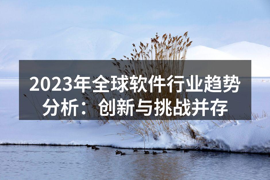 2023年全球软件行业趋势分析：创新与挑