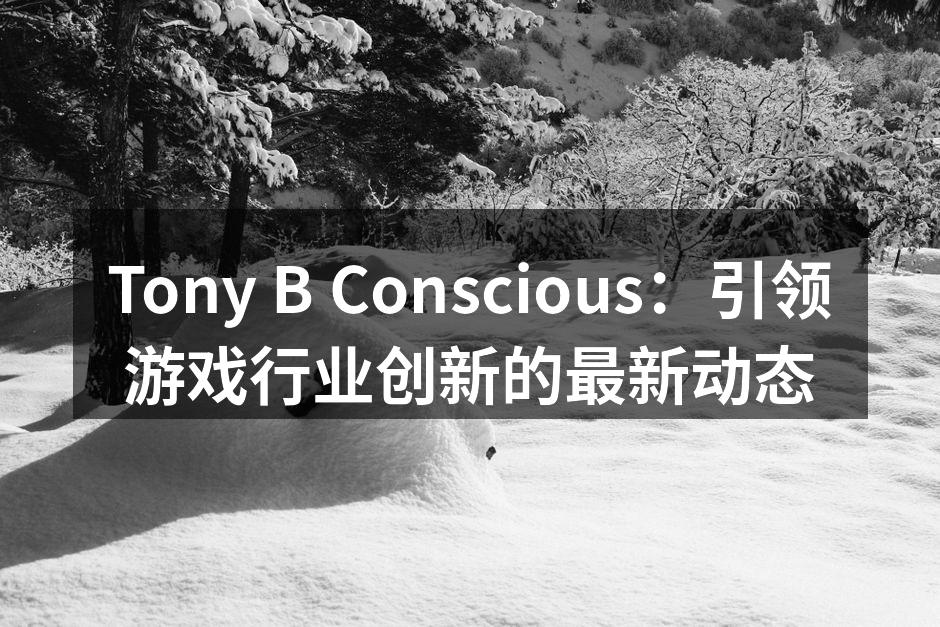 Tony B Conscious：引领游