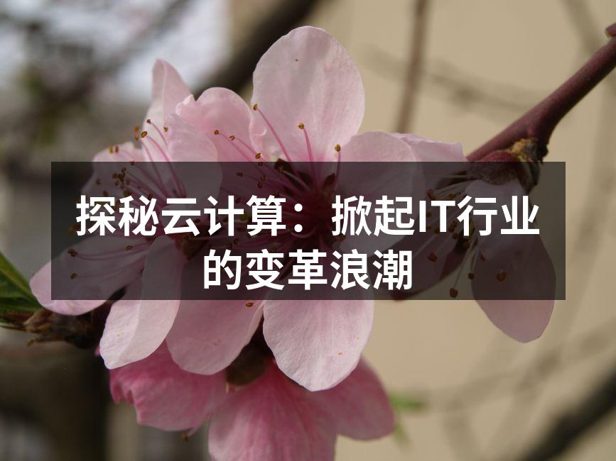 探秘云计算：掀起IT行业的变革浪潮